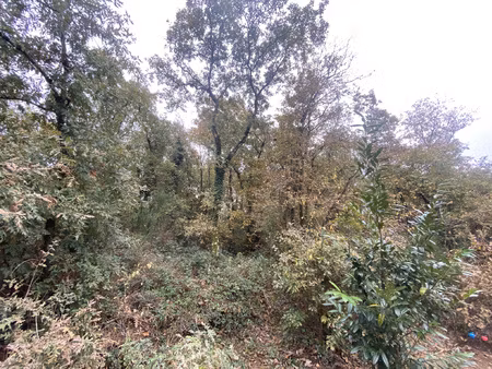 terrain boisée - 10 620m2