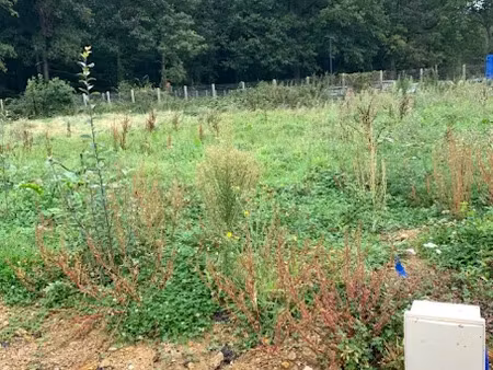 vente terrain 316 m² à baulne (91590)  85 000 €