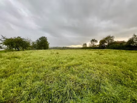 vente terrain 1331 m² à polliat (01310)  99 000 €