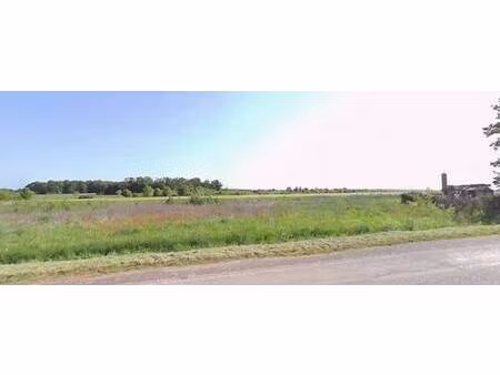 terrain constructible viabilisé à vendre