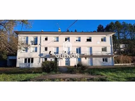 guénon immo pro