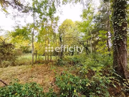 vente terrain 1419 m² à vieille-eglise-en-yvelines (78125)  225 000 €