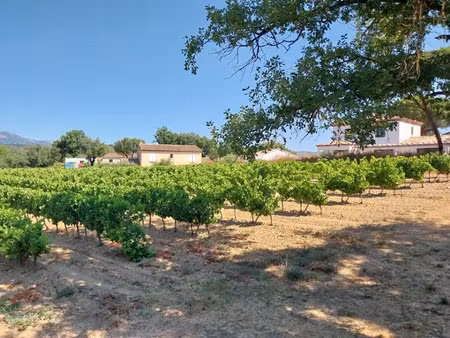 vente terrain 544 m² à cogolin (83310)  295 000 €