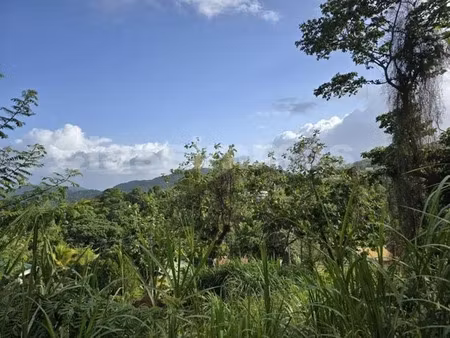 vente terrain à batir 15385 m² à le vauclin (97280)  527 000 €