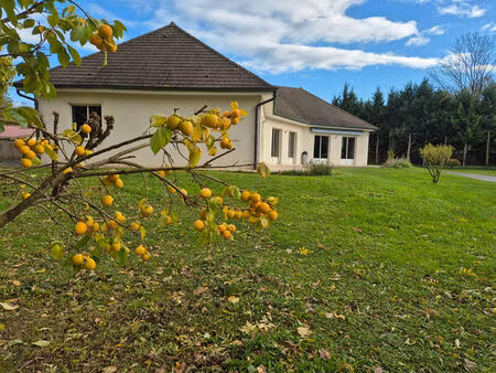 maison plain-pied vesoul de 170 m2 sur 1ha90 de terrain avec piscine