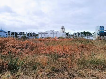 vente terrain 1000 m2 à landaul