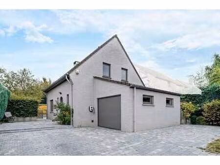 champ des pétrales  16 - 1332 rixensart