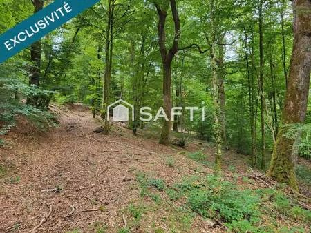 safti perry aurélien conseiller indépendant