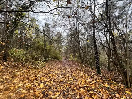 forêt 10 hectares 84 à vendre soissons