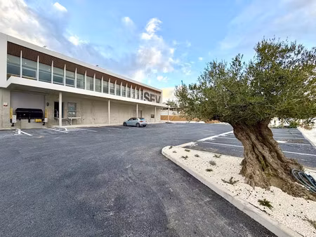 location locaux professionnels 0 pièces 204 m² à villeneuve-lès-maguelone (34750)  3 061 €