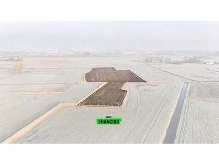 beau terrain agricole à vendre à dudzele