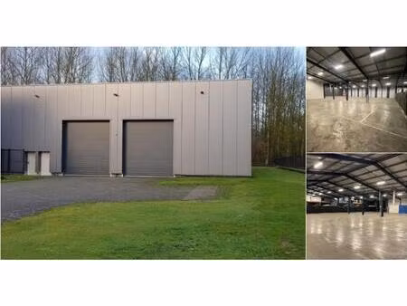 surface industrielle à louer à bornem (rbu73369)