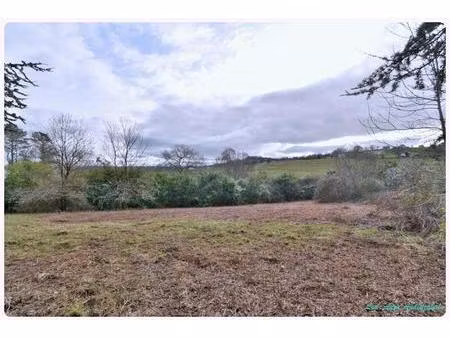 monein terrain constructible 1380 m²