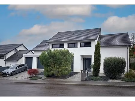 en vente maison individuelle 165 m² – 775 000 € |audun-le-tiche