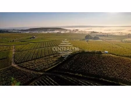maison de campagne de luxe en vente lantignié  france