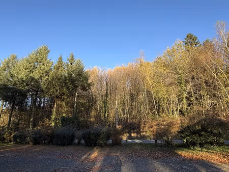 achat terrain 2 316m² st sornin lavolps 19230