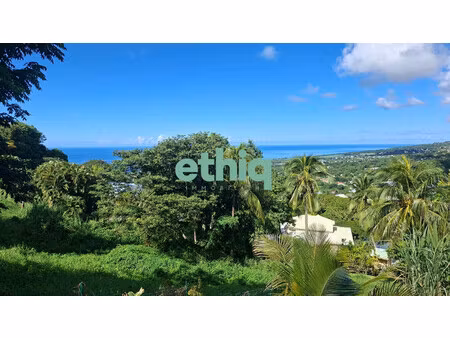 vente d'un terrain à gourbeyre