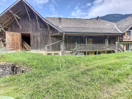 achat : maison (74430)