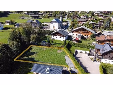 achat : maison (74110)