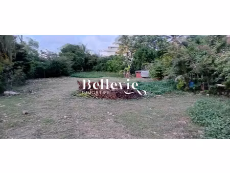achat terrain 971m² anse bertrand 97121