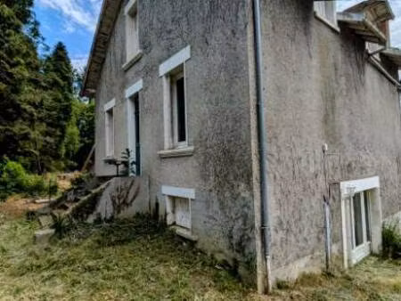 saint-brice-sur-vienne (87200)