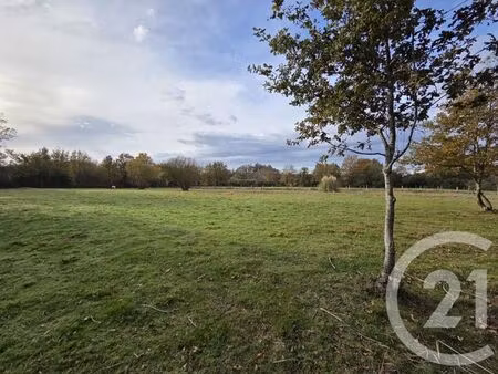 terrain à vendre - 2660 m2 - st georges de pointindoux - 85 - pays-de-loire