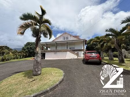 ziggy immo world wide real estate