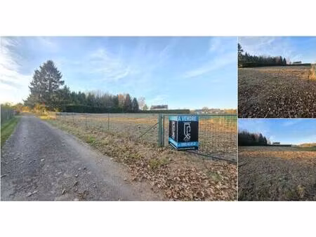 terrain à vendre à chemin de goubierdure daverdisse (vbd54913)