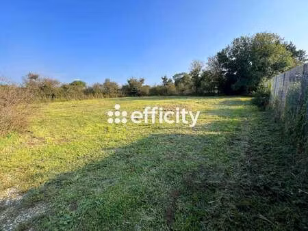 vente terrain à la plaine-sur-mer (44770) : à vendre / 839m² la plaine-sur-mer