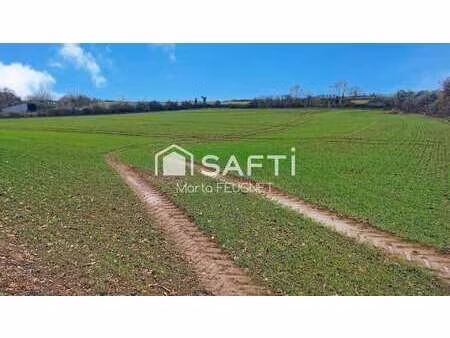 vente terrain à mareuil-sur-lay-dissais (85320) : à vendre / 12700m² mareuil-sur-lay-dissa