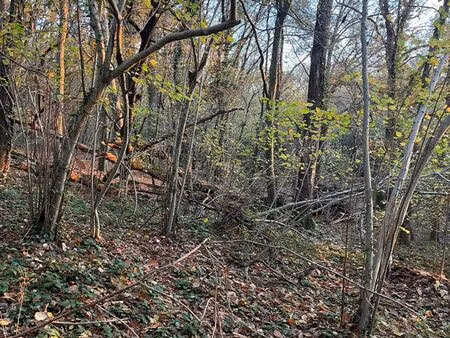 vente terrain 1970 m² les bordes (45460)