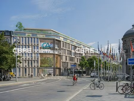 location local professionnel 3 770m² strasbourg 67000