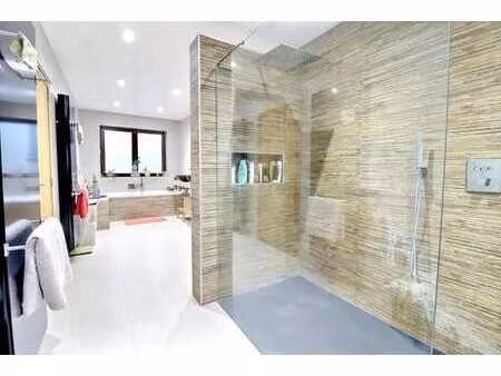 à vendre – maison 3 façades rénovée avec garage et grand jar