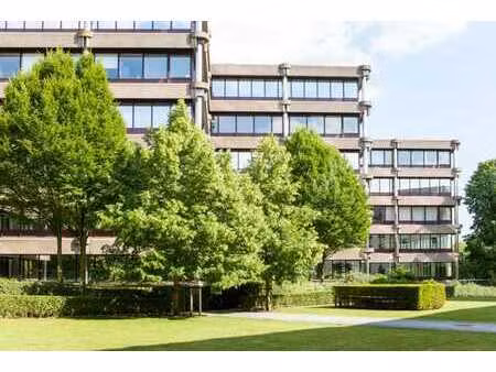 nice offices to let as from 250 m² up to 4.000 m²