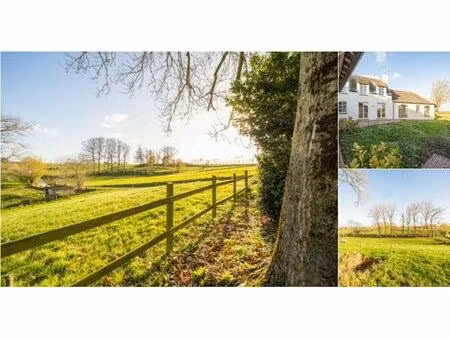 maison à vendre à bakkerbos 2 nukerke (rbu73416)