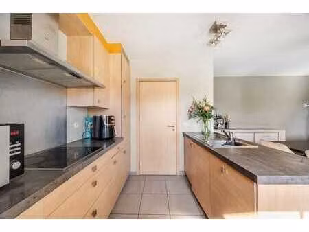 lichtrijk en praktisch appartement in het charmante tielrode