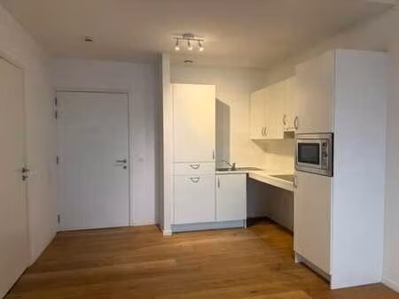 appartement lumineux d'une chambre avec une grande terrasse