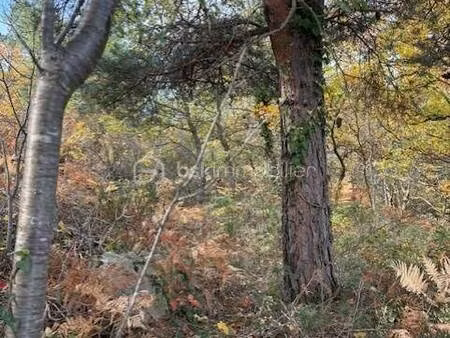 sandrine gobillot bsk immobilier