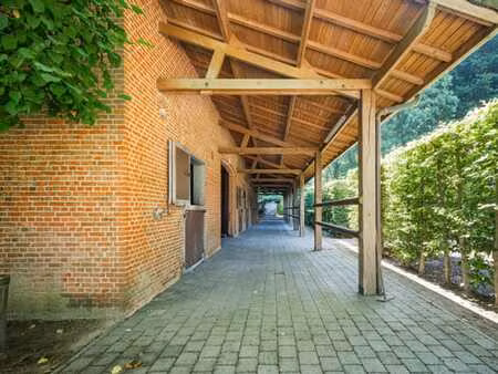 flandre-orientale i waasmunster