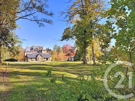 maison à vendre - 10 pièces - 500 m2 - souesmes - 41 - centre