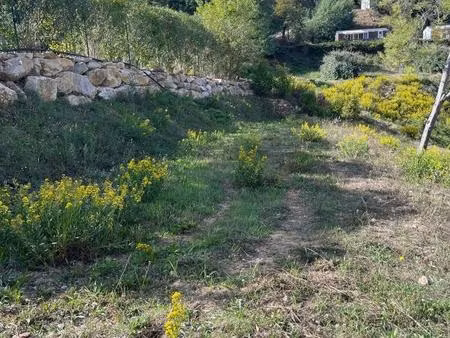 terrain de loisir - jardin - proche mandelieu