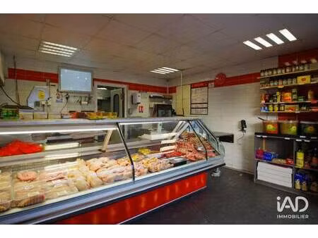 iad france virginie cailteau