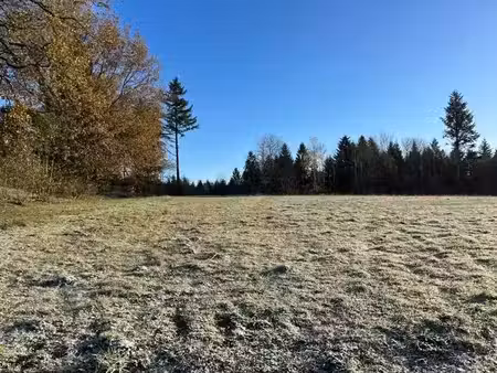 vente terrain 1742 m² à palazinges (19190)  32 175 €