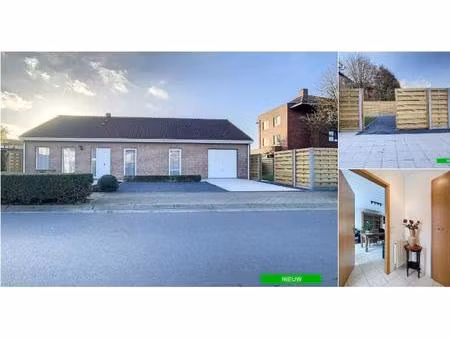 maison à louer à tulpenlaan 3 ieper (rbu73871)