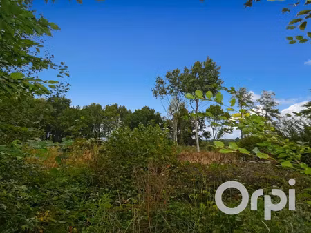 vente terrain à batir 2207 m² à saint-germer-de-fly (60850)  67 000 €