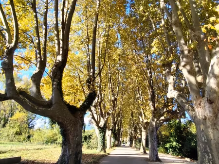 vente maison traditionnelle 5 pièces