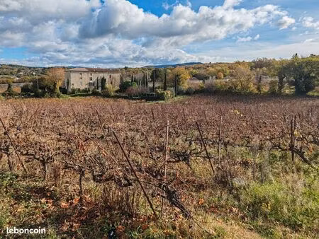 terrain agricole avec vigne