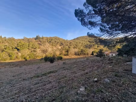 vente terrain à batir 4553 m² à montauriol (66300)  185 000 €