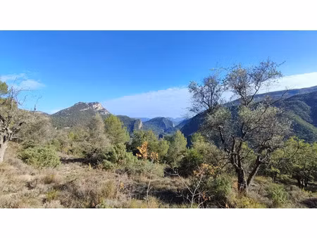 vente terrain 1538 m² à pierrefeu (06910)  125 000 €