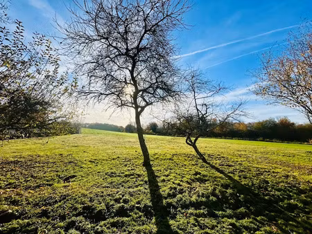 vente terrain 322 m² à les chapelles-bourbon (77610)  135 998 €